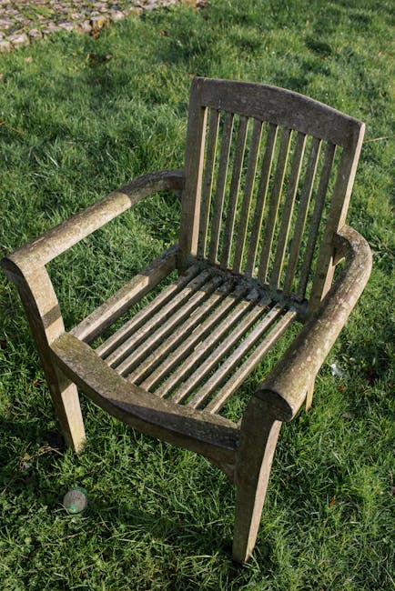 An outdoor wooden chair with a slatted backrest and seat is positioned on a grassy lawn. The chair appears weathered, with visible moss or algae growth on its armrests and frame, indicating exposure t
